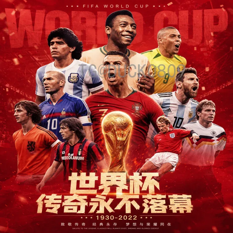 国际足联世界杯预测查询系统：球迷必备的数据分析工具
